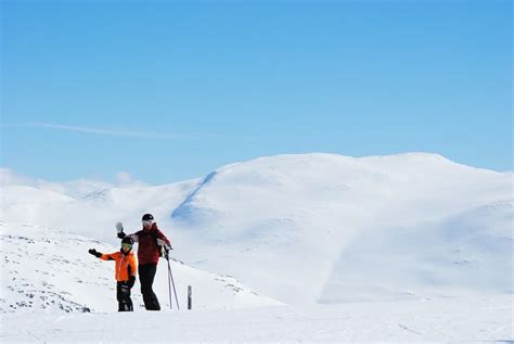 Winter Swedish Mountain Snowy Landscape free image download