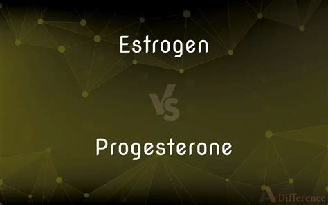 Estrogen vs. Progesterone — What’s the Difference?