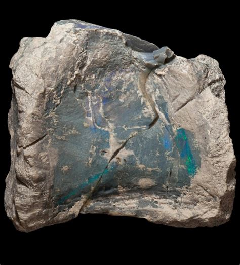 'Spectacular' Opal-Laced Fossils Reveal Previously Unknown Australian Dinosaur | Gizmodo Australia