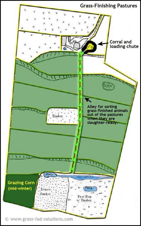 Example Farm Plan and Pasture Rotation for a Grass Fed Beef Business - Part 3