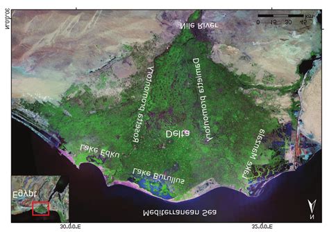 Satellite image of River Nile delta showing locations of delta coastal ...