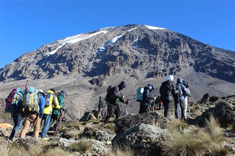 Kilimanjaro Rongai Route 7 Days - Jaribu Africa Adventures