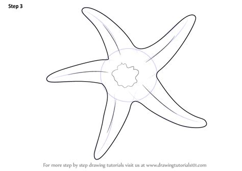 Learn How to Draw a Starfish (Fishes) Step by Step : Drawing Tutorials