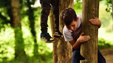 Visiting the park at Saltram | Devon | National Trust