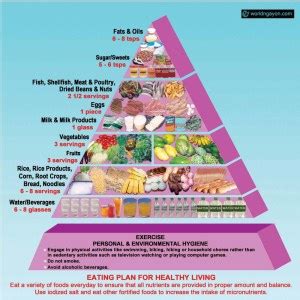 Pinggang Pinoy: Healthy food plate for Filipino adults launched | WorldNgayon