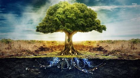 Tree of life, roots, life, ground, tree HD wallpaper | Pxfuel