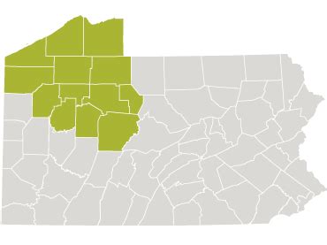 Proxy Access and Adolescent Accounts | UPMC Central PA Patient Portal