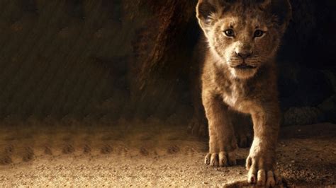 The Lion King Simba 2019 4k, HD Movies, 4k Wallpapers, Images, Backgrounds, Photos and Pictures