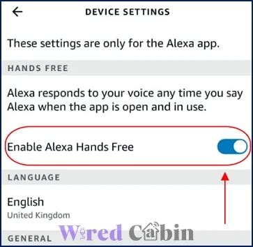 How to Keep Alexa App Running in Background (Android) - Wired Cabin