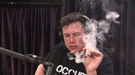 Elon Musk Smokes Weed With Joe Rogan - TNMNews.com