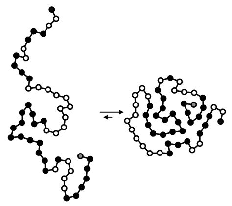 HP Protein Folding is NP-Complete