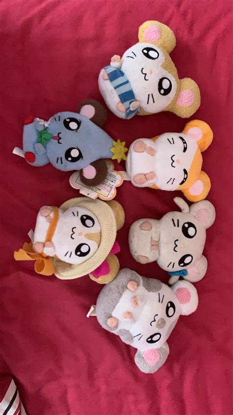 my collection 😍 : r/Hamtaro