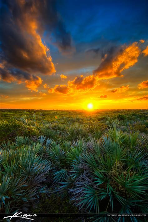 Juno Dunes Natural Area Sunset Over Florida Landscape | HDR Photography ...