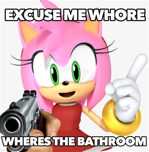 Amy rose 🦔💕 | Amy rose, Rosé memes, Sonic