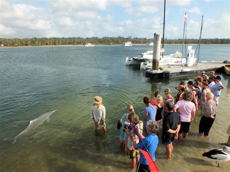 10 things to do and see in Tin Can Bay, Queensland - Camps Australia Wide