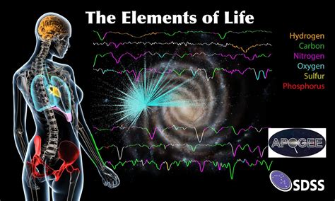 The elements of life mapped across the Milky Way by SDSS/APOGEE