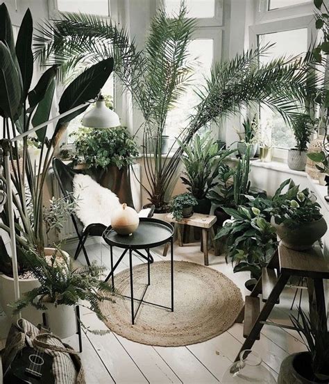 Plant Decor Indoor, House Plants Decor, Room With Plants, Indoor Plants, Hanging Plants, Garden ...