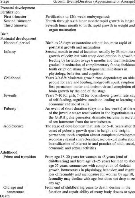 Human Lifespan Development Stages