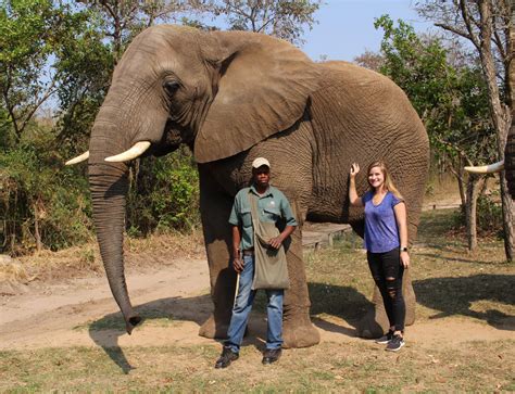 Hazyview Elephant Sanctuary • Young Wayfarer