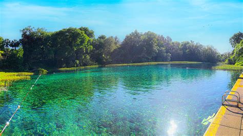 Rainbow Springs State Park, Florida