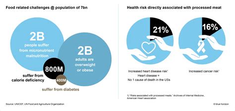 Global health challenges and processed meat related risks: Plant-based ...