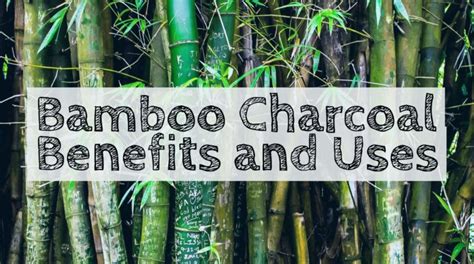 4 Top Uses of Bamboo Charcoal - Bamboo Bob