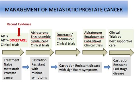 Prostrate Cancer Hormone Therapy - CancerWalls