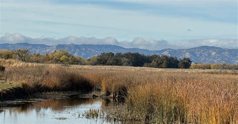 Photo Gallery | Cache Creek Conservancy