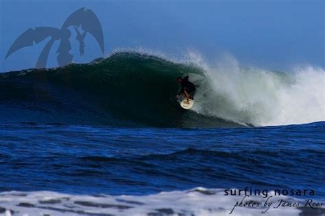 Nosara, Costa Rica. Surfing for all levels! Super fun beach break. | Surf trip, Surfing, Beach fun