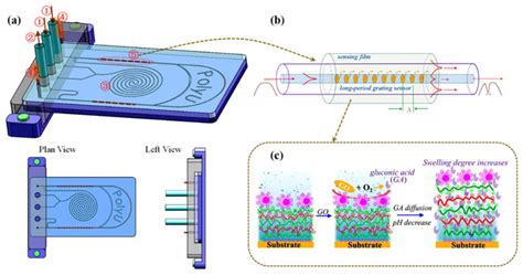 Fiber Optic Biosensor-Integrated Microfluidic Chip Detects Glucose ...