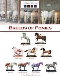 The Trail of Painted Ponies - Registry | trailofpaintedponies.com