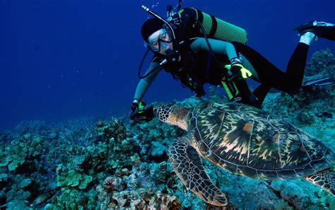 12 Best Dives on Guam | Guam, Diving, Guam beaches