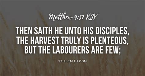 96 Bible Verses about Harvest (KJV) | StillFaith.com