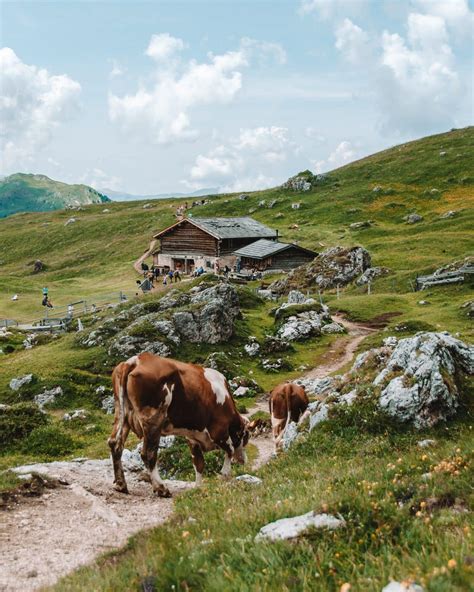 A Guide to Hiking Seceda, Dolomites | taverna travels