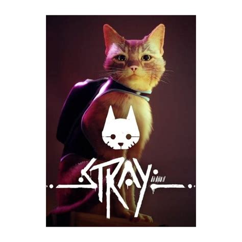 Stray - PC - Digital Products