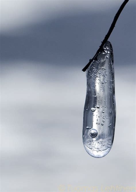 20 Beautiful Icicle Photos