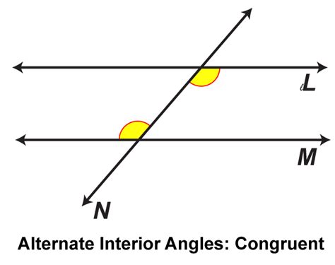 Student Tutorial: Parallel Lines Cut by a Transversal | Media4Math