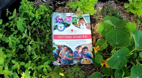 Getting Started: A guide to your own kitchen garden program | Kitchen Garden