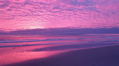 Pink & Purple Sunrise - Mount Maunganui : r/newzealand