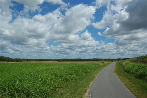 Kedron Brook | Cycling Brisbane | Must Do Brisbane