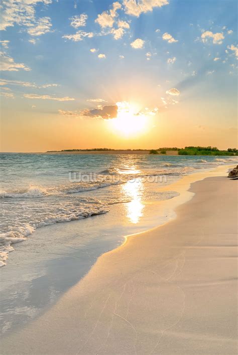 Tranquil Beach Sunset Wallpaper Mural | Wallsauce USA