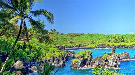 Wallpaper : waterfall, sea, bay, beach, Tourism, coast, palm trees ...