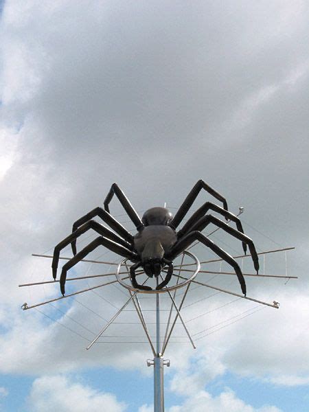 Avondale Spiders, Avondale, Auckland, New Zealand | Avondale, Auckland, New zealand