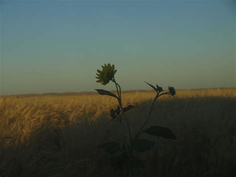 National Geographic Photo Camp | © National Geographic Photo… | Flickr