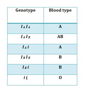 Principles of Inheritance and Variation - Important Notes for NEET Biology