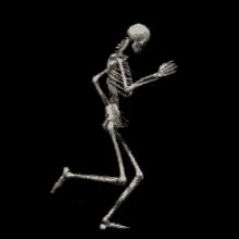 Skeleton Meme Gif - IceGif