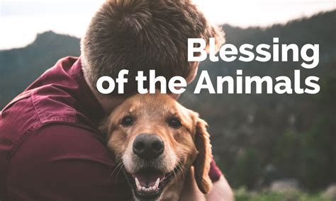 Blessing of the Animals | Lutheran Church of the Cross