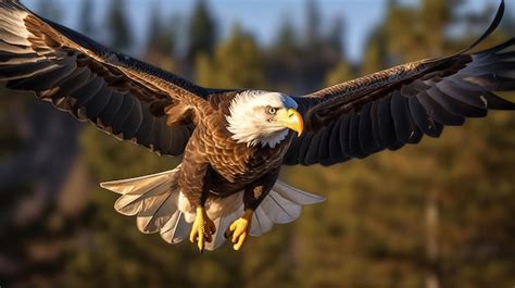 Premium Photo | A bald eagle is flying in front of a forest.