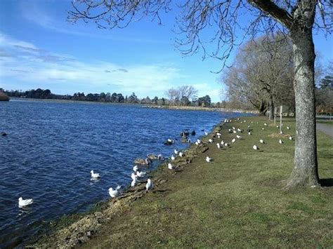 Lake Wendouree (Ballarat): 2018 All You Need to Know Before You Go (with Photos, Reviews, & more!)