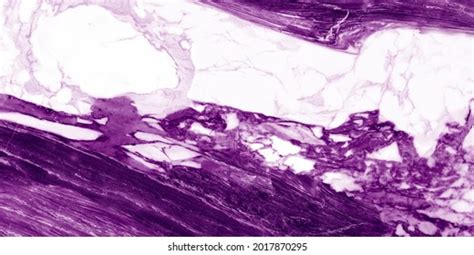 Polished Purple Glossy Marble Texture Natural Stock Photo 2017870295 ...